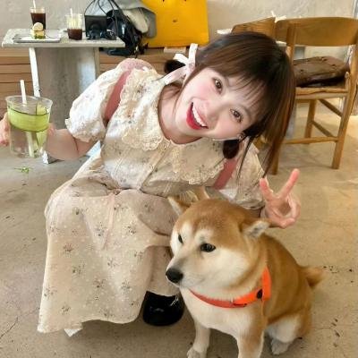 智能爱人粤语 在线观看